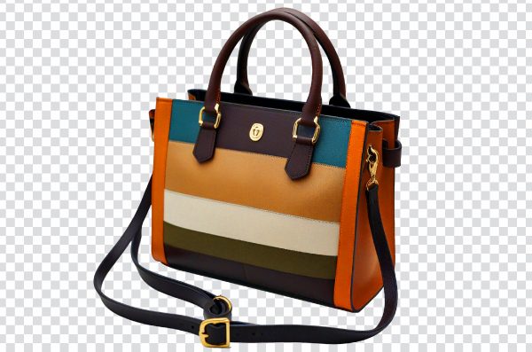 Colorful vanity bag png