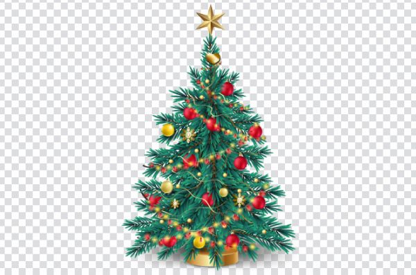 Christmas tree png, Christmas tree decorations, Unique Christmas tree ideas