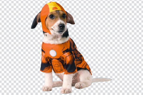 Transparent dog PNG