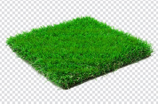 Transparent Grass lawn
