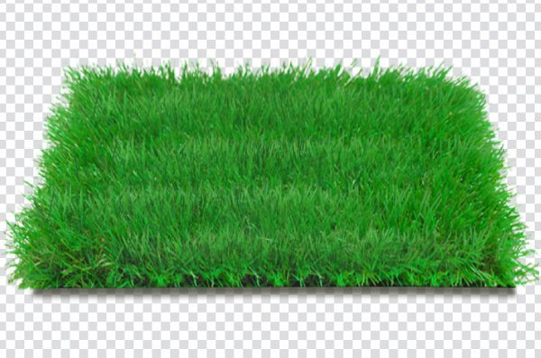 green grass png, Artificial turf Lawn Grass Garden Fiber, turf