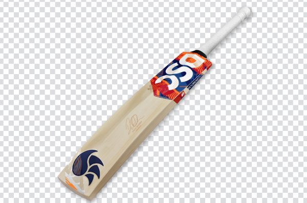 Cricket bat 002 png