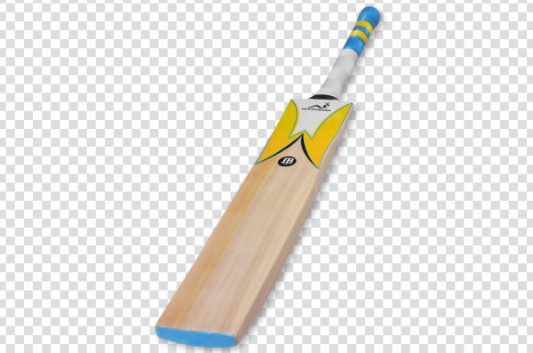 Cricket bat 003 png