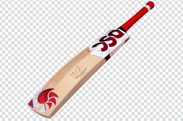 Cricket bat 001 png