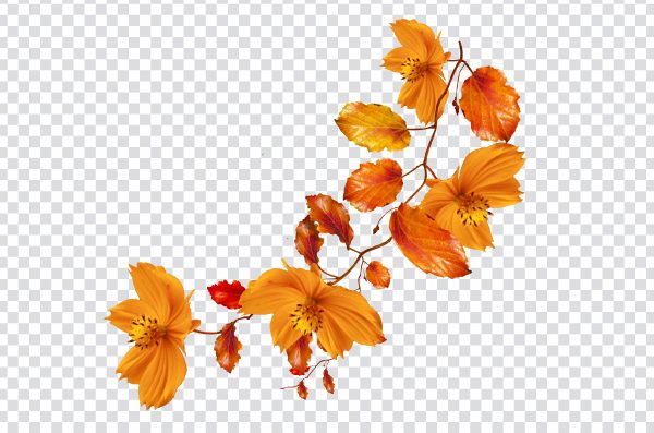 Autumn Flower, leaf, autumn leaves, watercolor Painting, orange, branch png