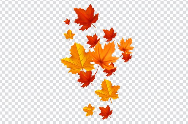 Autumn Leaf, orange and red autumn leaf, Autumn leaves, leaf, maple Leaf, orange png