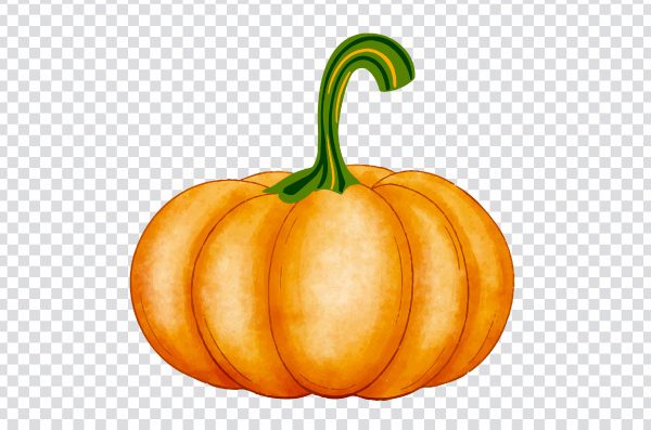 Autumn Pumpkin, autumn, natural Foods, food, orange png