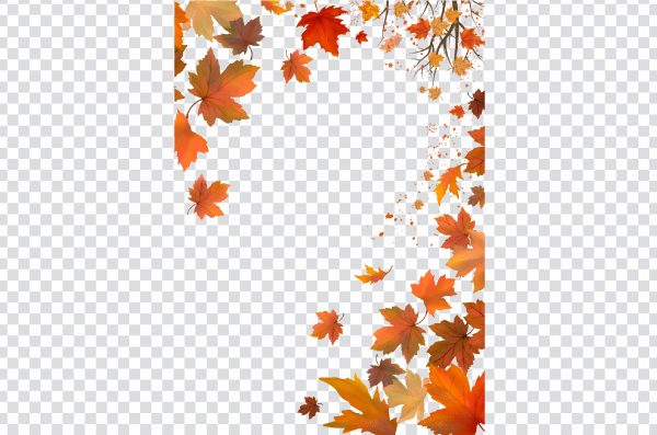 Autumn background, Autumn leaf color Maple leaf, Autumn leaves png