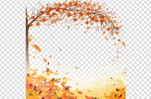 Beautiful autumn background material, maple, leaf, Autumn, Autumn Maple leaf