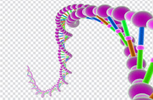 DNA Molecule RNA Genome, others, bead, cell, днк, Genetic testing png