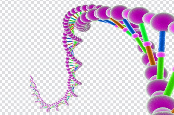 DNA Molecule RNA Genome, others, bead, cell, днк, Genetic testing png