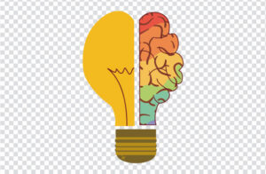 Light bulb and brain illustration featuring an incandescent light bulb and Foco lamp