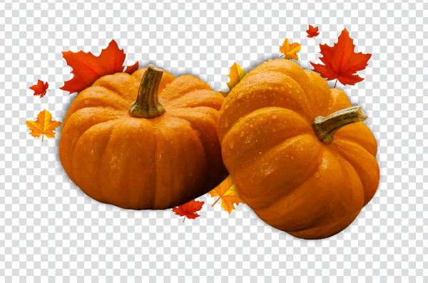Pumpkin Festival Autumn, Thanksgiving Autumn Turkey, Thanksgiving Pumpkin, food, Zucchini Pumpkin