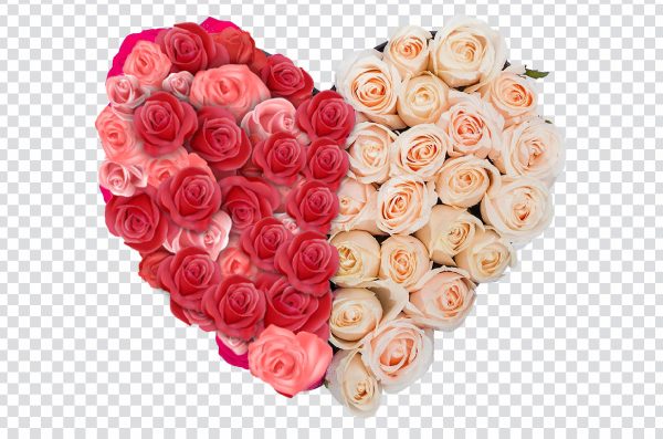 Heart-shaped roses, Happy Valentine's Day, red heart, Love Heart Happiness, Valentine's Day Wish Greeting & Note Cards png