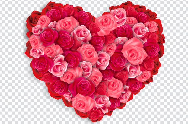 Valentine's Day cruise Heart Rose, Heart-shaped roses, pink and red roses, Flower Heart Rose Valentines Day, Roses put together love png