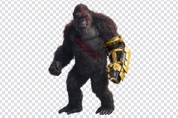 Kong PNG, kong with beast glove, Giant ape, Realistic Kong PNG