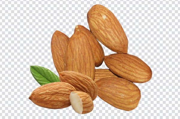 Almond Nut PNG – High-Quality Transparent Almond Clipart Image