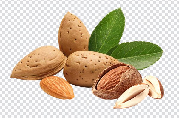 Almonds with Shell PNG – Realistic Transparent Nut Image