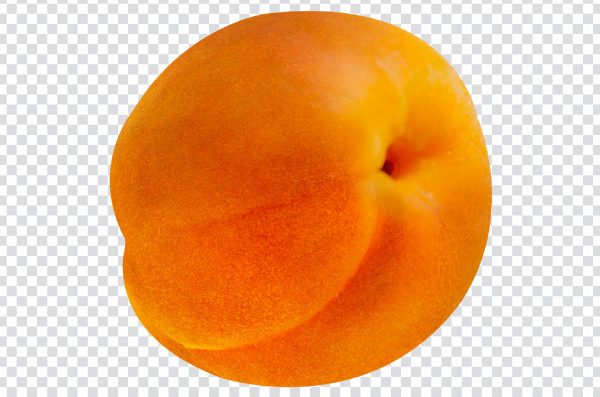 Apricot PNG – High-Resolution Transparent Fruit Image