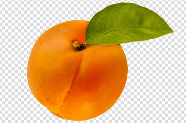 Apricot with Leaf PNG