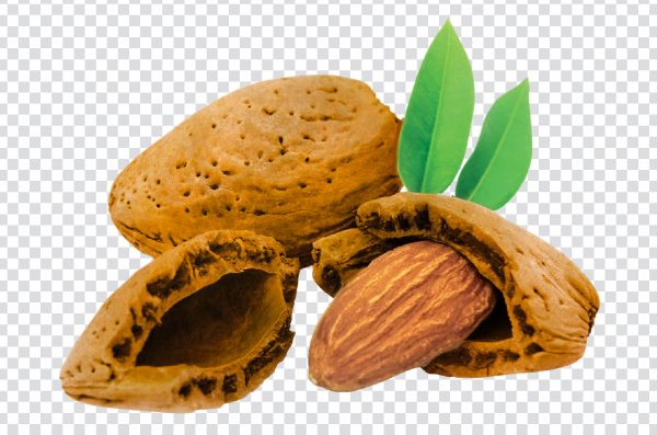 Cracked Almond PNG – Realistic Broken Nut Image with Transparent Background