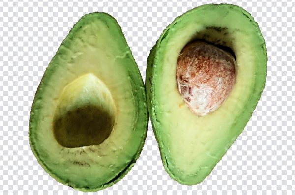 Cut Avocado PNG – High-Resolution Transparent Fruit Image