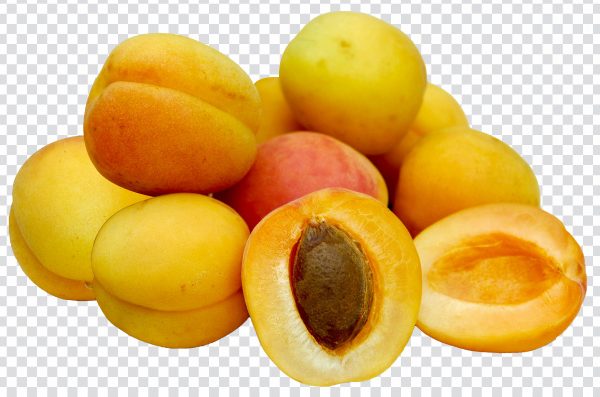 Fresh Apricot PNG – High-Quality Transparent Fruit Image