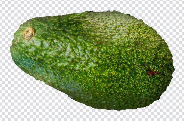 Realistic Avocado PNG – High-Quality Transparent Fruit Image