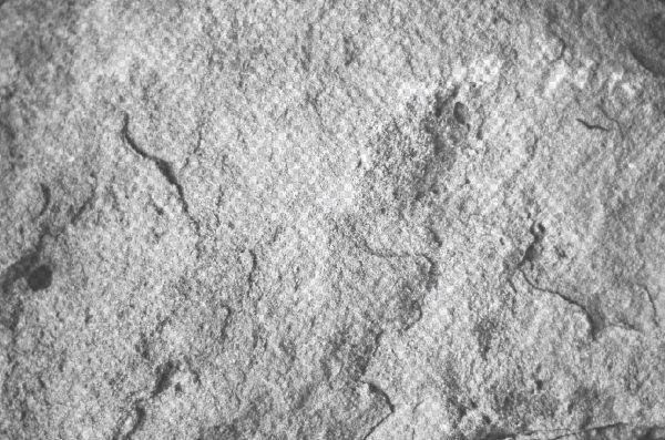 Rough Stone Texture PNG – High-Resolution Natural Rock Surface