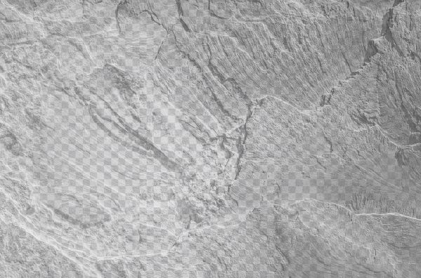 Stone Surface Texture PNG – Realistic Rock Design for Graphic Projects