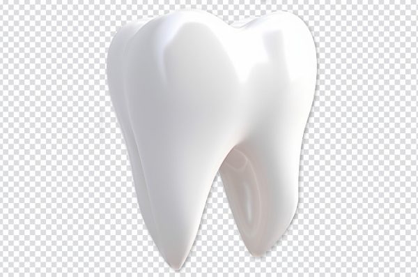 White Tooth PNG – Free Transparent Download