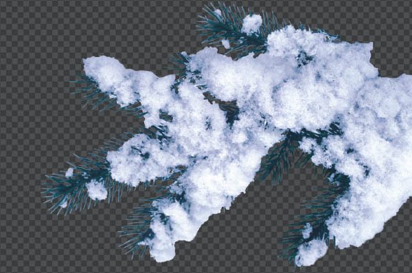 Frost Covered Branch PNG Transparent | Free Winter Branch Download