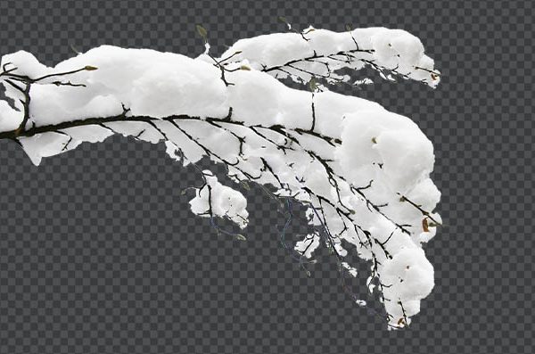Snowy Branch PNG Transparent | Free Snow-Covered Winter Branch