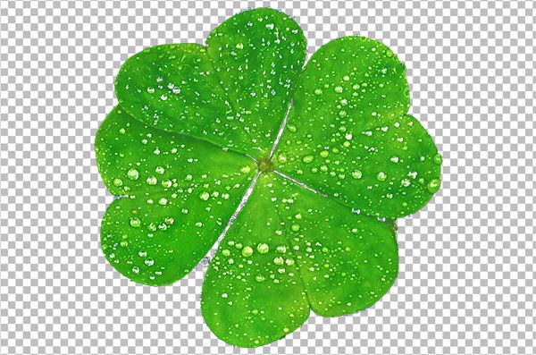 Four Leaf Clover PNG – Transparent Lucky Clover Image