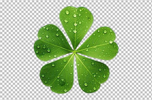 Lucky Clover Flower Transparent PNG – Four Leaf Clover Image