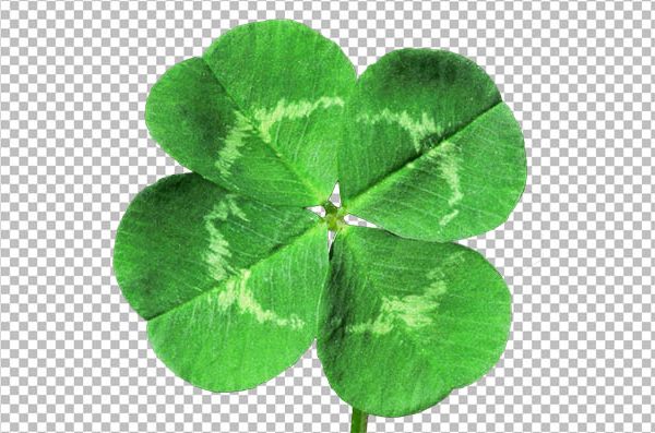 Shamrock Clover PNG – Transparent Three Leaf Clover Image