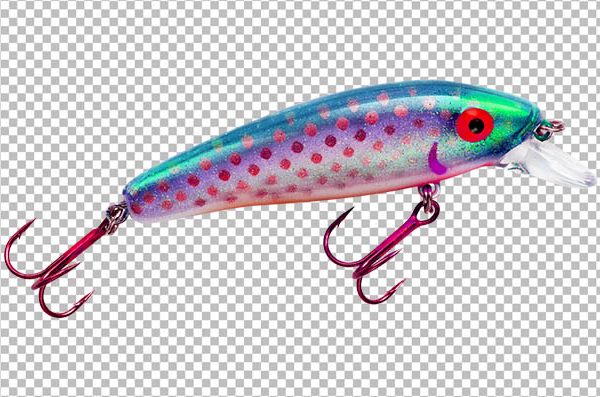 Baited Hook PNG – Transparent Fishing Hook with Bait