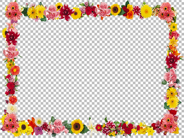 Elegant Rectangular Floral Border PNG Transparent Background