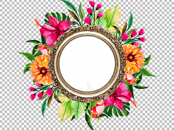 Tropical Flower Frame PNG – Exotic Floral Border