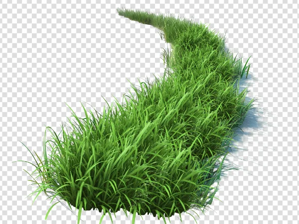 Curved Grass Pathway PNG – Transparent Green Grass