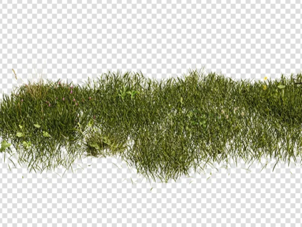 Layer of Grass PNG – Green Grass Transparent Image