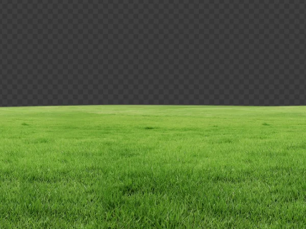 Grass Ground PNG – Transparent Green Grass Image